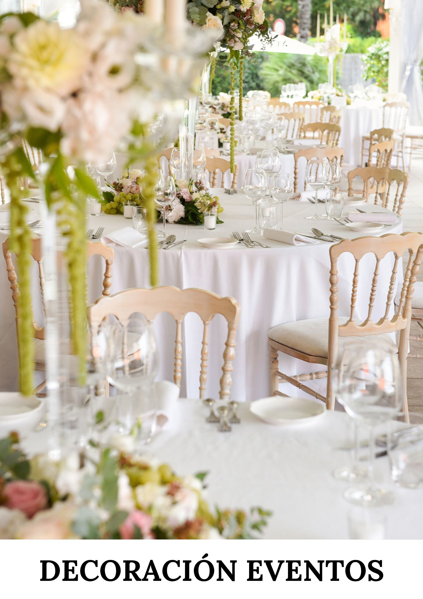 Mayorista Decoración Eventos